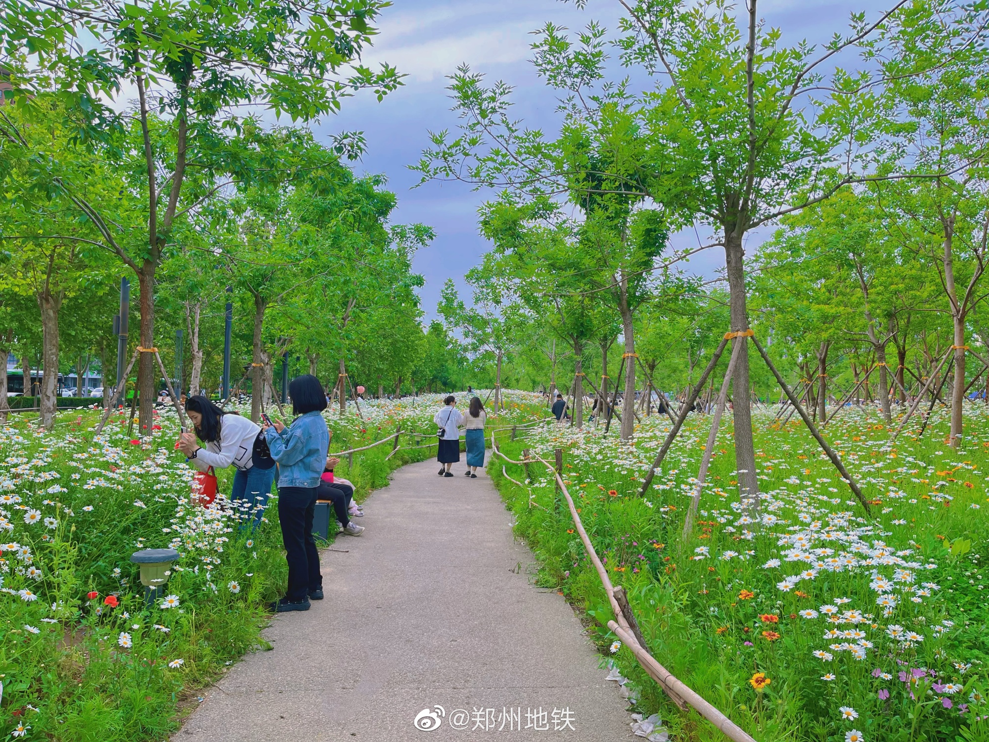 郑州东风渠滨河公园图片