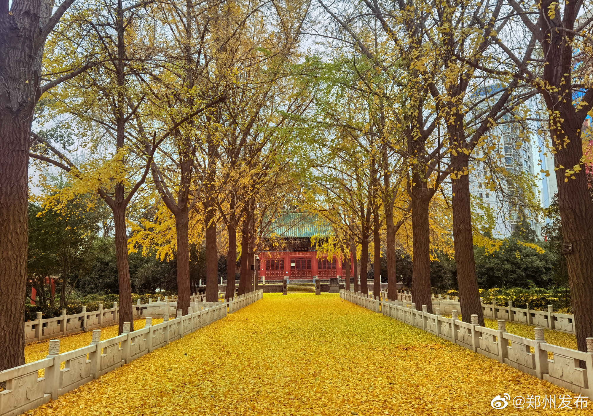 郑州人民公园风景图片图片