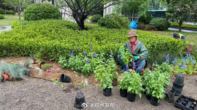 花卉绿植批发市场费用怎么算