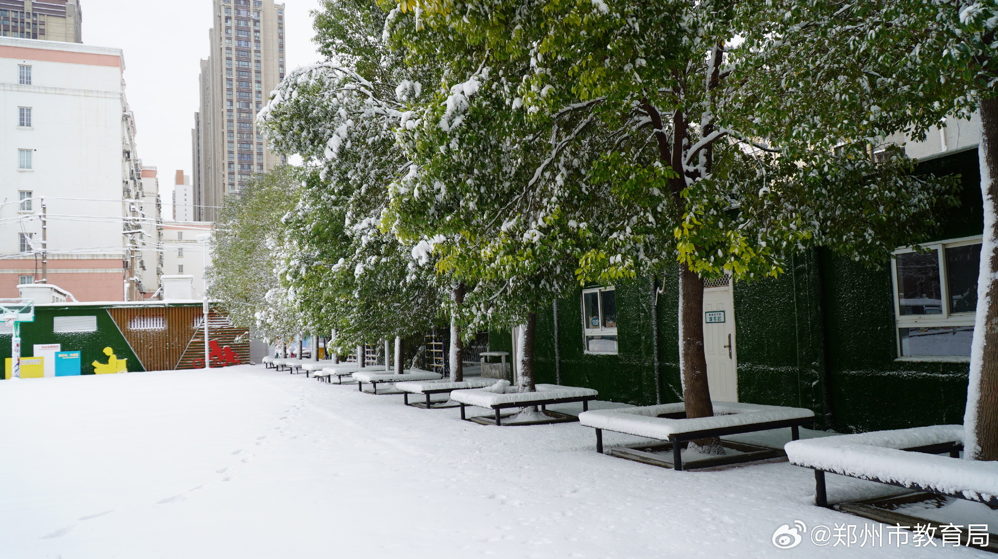 叮叮叮郑州校园雪景到了
